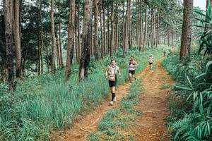 BIB: 
                            <button type="button" onclick="openModal(25681441)" class="btn btn-primary btn-sm float-right btn-popup" data-toggle="modal" data-target=".modal-high-quality">
                        <i class="fas fa-shopping-cart"></i> Add to Cart
                    </button>
                                            <button type="button" onclick="isThisMe(25681441, true)" class="btn btn-success btn-sm float-right btn-popup btn-isme hidden" data-toggle="tooltip" data-placement="bottom" title="นี่คือรูปของคุณใช่ไหม คลิกที่นี่เพื่อเอาเข้าอัลบั้ม">
                        <i class="fas fa-plus"></i> Add to album
                    </button>
                    <button type="button" onclick="isThisMe(25681441, false)" class="btn btn-warning btn-sm float-right btn-popup btn-isnotme hidden">
                        <i class="fas fa-ban"></i> Remove from album
                    </button>